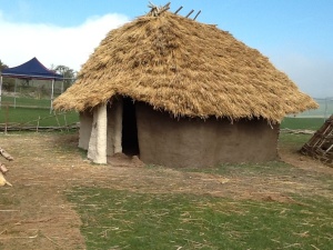 Thatching is complete on building 851, just the ridge to finish.